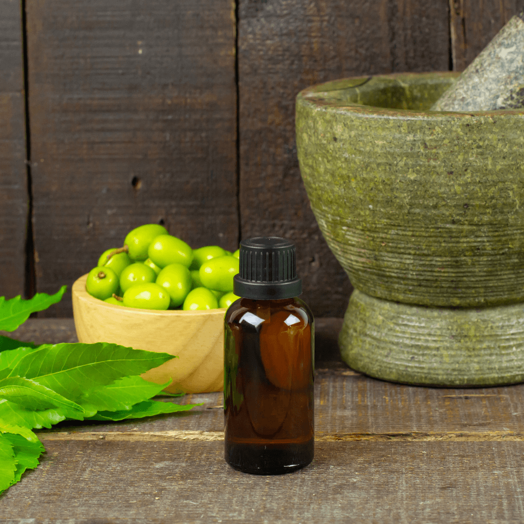 Ayurveda Jeevan Shaili Workshop